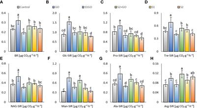 The combined effect of graphene oxide and elemental nano-sulfur on soil biological properties and lettuce plant biomass